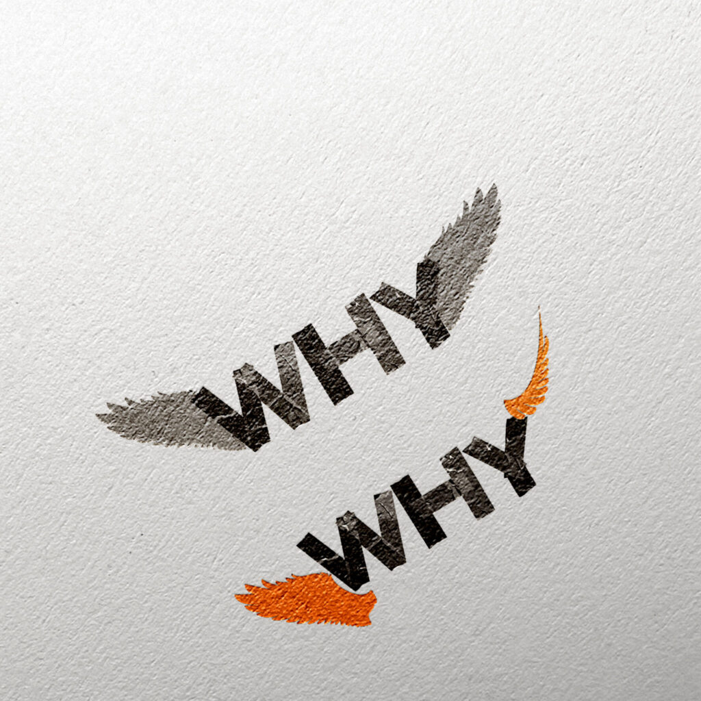 yachtlogo-why